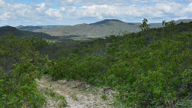 Pedra Bonita Spessartine Garnet Mine Pedra Bonita Spessartine Garnet Mine