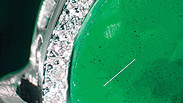 Small black spots in in beryl and topaz doublet