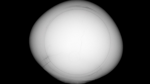 Microradiograph of beaded cultured pearl