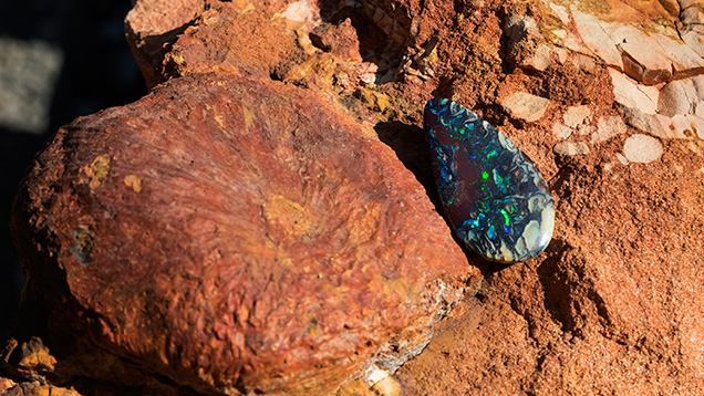 Spectacular boulder opal Spectacular boulder opal