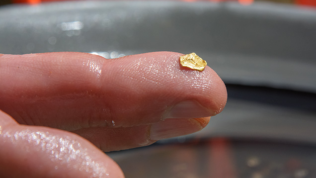Piece of gold on fingertip