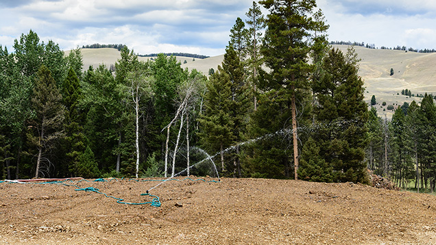 Sprinklers work on restored land