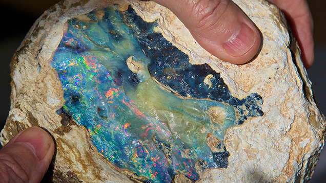 Boulder opal rough Boulder opal rough