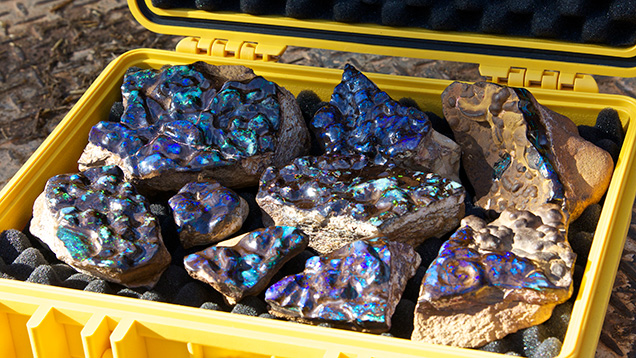 Case of boulder opal Case of boulder opal