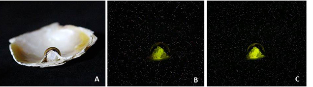 X-ray fluorescence X-ray fluorescence