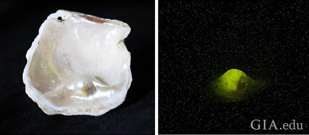 X-ray fluorescence X-ray fluorescence