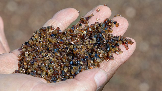 Hand holding sapphire concentrates