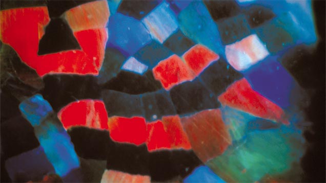 Harlequin Pattern Harlequin Pattern