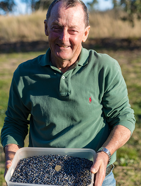 Man holding a box of sapphires