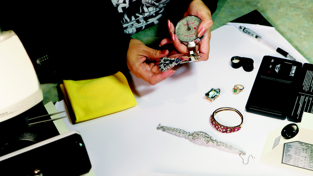 Appraiser at work