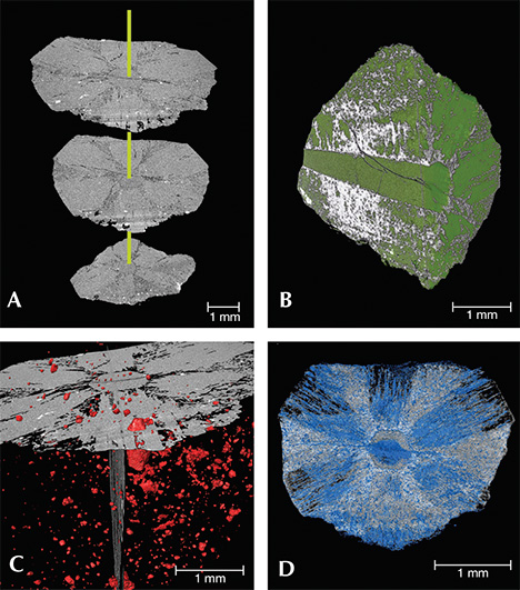 Four X-ray computed tomography images of trapiche emerald from Muzo Four X-ray computed tomography images of trapiche emerald from Muzo