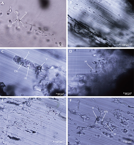 Multiphase fluid inclusions in trapiche emeralds Multiphase fluid inclusions in trapiche emeralds