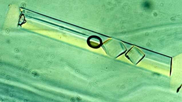 Multiphase fluid inclusion in emerald Multiphase fluid inclusion in emerald