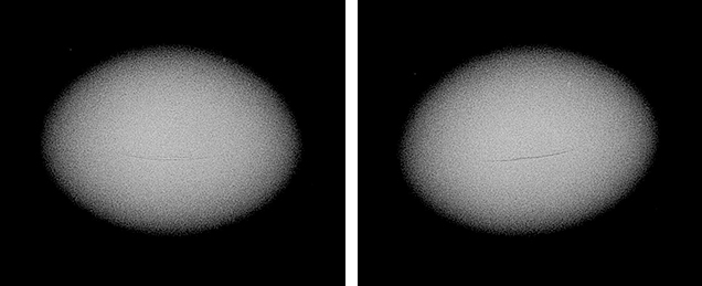 RTX images of a seed pearl RTX images of a seed pearl