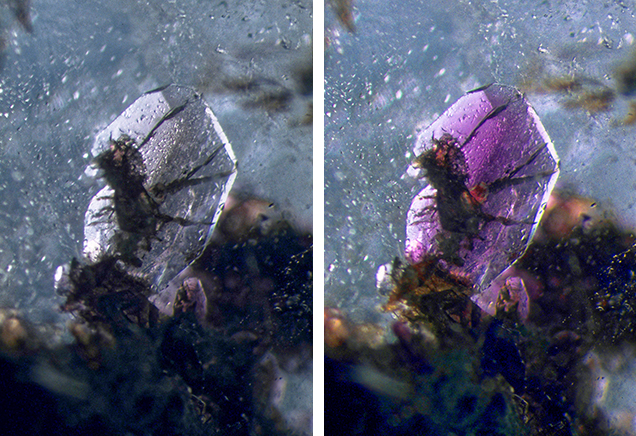 Pleochroic axinite inclusions in quartz Pleochroic axinite inclusions in quartz