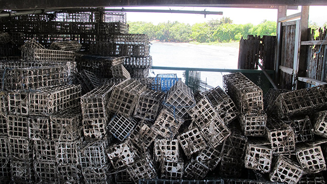 Baskets used for pearl culture on Lombok Baskets used for pearl culture on Lombok