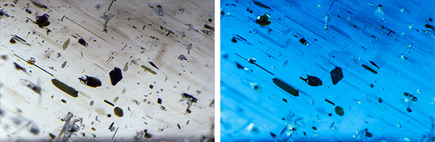 Needle and platelet inclusions as seen with transmitted light.