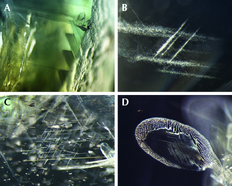 Common internal features in blue sapphire from Bo Welu Common internal features in blue sapphire from Bo Welu
