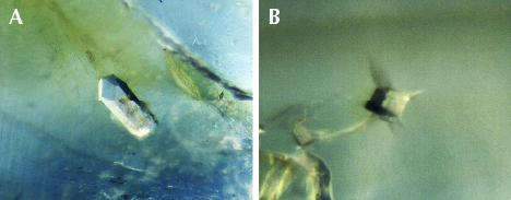 Inclusions in blue sapphires from Bo Welu Inclusions in blue sapphires from Bo Welu