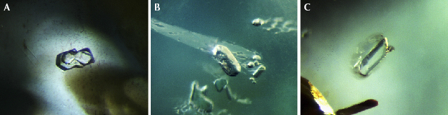 Inclusions in blue sapphires from Bo Welu Inclusions in blue sapphires from Bo Welu
