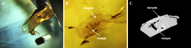 Monazite inclusion in blue sapphire from Bo Welu Monazite inclusion in blue sapphire from Bo Welu