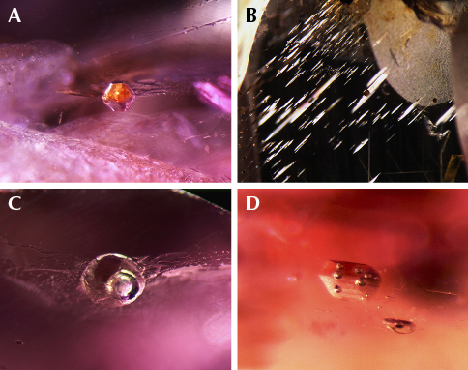 Internal features in ruby and sapphire from Bo Welu Internal features in ruby and sapphire from Bo Welu
