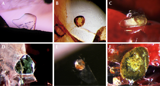 Inclusions in ruby and sapphire from Bo Welu Inclusions in ruby and sapphire from Bo Welu