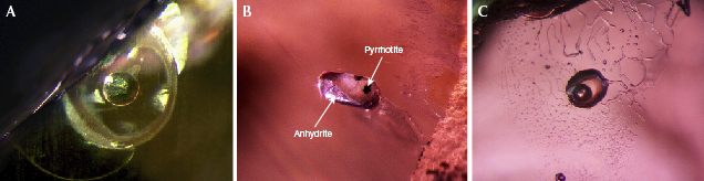 Inclusions in corundum from Bo Welu Inclusions in corundum from Bo Welu