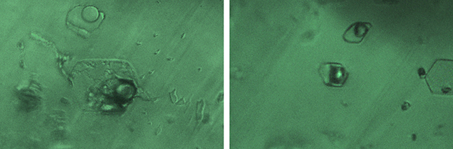 Three-phase inclusions in Swat emerald Three-phase inclusions in Swat emerald