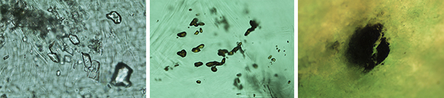 Solid inclusions in Swat emerald Solid inclusions in Swat emerald