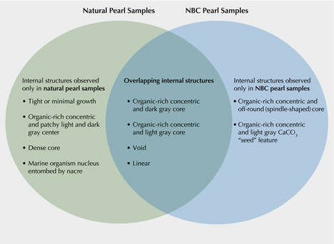 Three main categories of internal structures in cultured pearls (radioimages) Three main categories of internal structures in cultured pearls (radioimages)