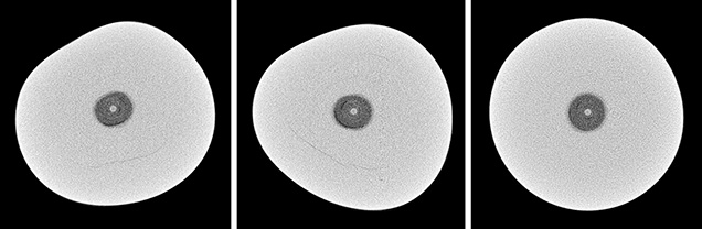 μ-CT slices of cultured pearl μ-CT slices of cultured pearl