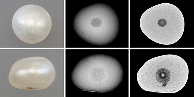 Macro images, RTX images, and μ-CT slices of cultured pearl Macro images, RTX images, and μ-CT slices of cultured pearl