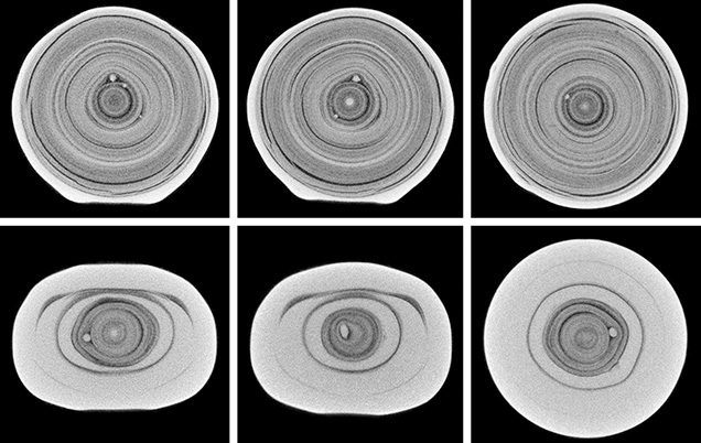 μ-CT slices of cultured pearl μ-CT slices of cultured pearl