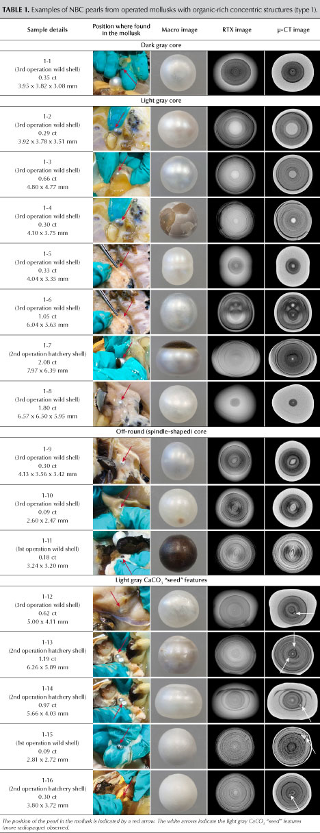 Table 1. Examples of NBC pearls from operated mollusks with organic-rich concentric structures (type 1). Table 1. Examples of NBC pearls from operated mollusks with organic-rich concentric structures (type 1).