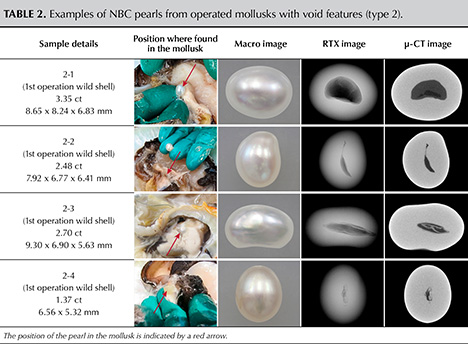 Table 2. Examples of NBC pearls from operated mollusks with void features (type 2). Table 2. Examples of NBC pearls from operated mollusks with void features (type 2).