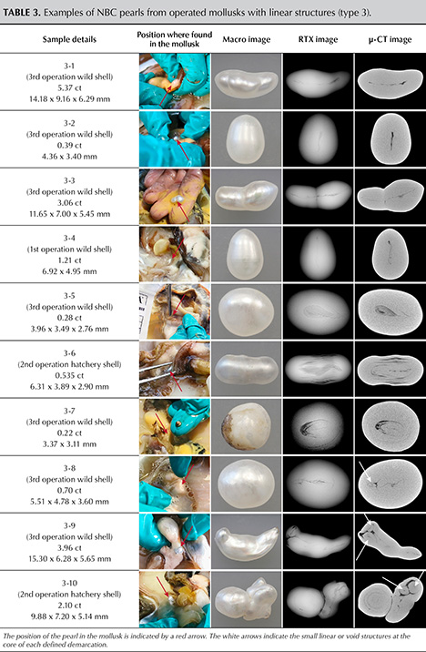 Table 3. Examples of NBC pearls from operated mollusks with linear structures (type 3). Table 3. Examples of NBC pearls from operated mollusks with linear structures (type 3).