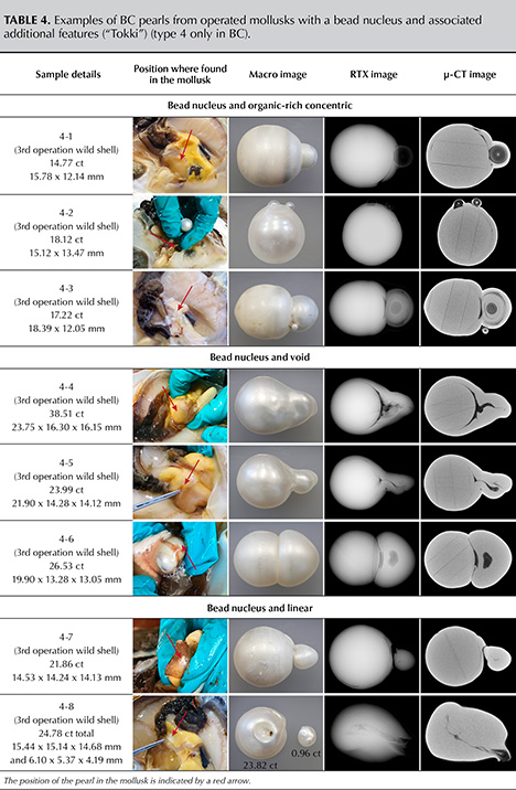 Table 4. Examples of BC pearls from operated mollusks with a bead nucleus and associated additional features (“Tokki”) (type 4 only in BC). Table 4. Examples of BC pearls from operated mollusks with a bead nucleus and associated additional features (“Tokki”) (type 4 only in BC).