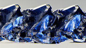 Fall 2022 Micro-World Banner Fall 2022 Micro-World Banner