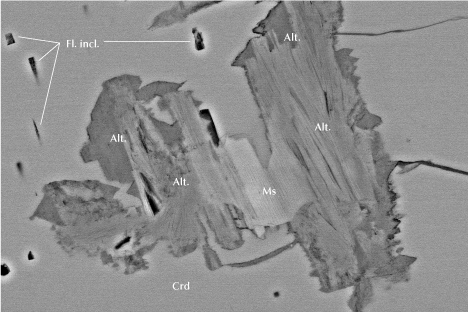 Figure 16. Inclusion of primary muscovite (Ms), which is partly altered to unidentified aluminosilicates (Alt.), and blocky fluid inclusions (Fl. incl.) in cordierite (Crd) from Blue Bear. Note the fractures leading to the partly altered muscovite. Backscattered electron SEM image; field of view 165 μm.