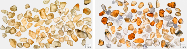 Figure 15. Left: Pale yellow natural sapphires from Sri Lanka. Right: The same sapphires after heat treatment at 1400°C, in oxygen, for five hours to remove hydrogen. Photos by John L. Emmett. Figure 15. Left: Pale yellow natural sapphires from Sri Lanka. Right: The same sapphires after heat treatment at 1400°C, in oxygen, for five hours to remove hydrogen. Photos by John L. Emmett.