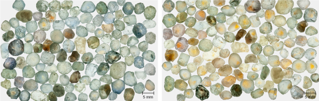 Figure 17. Left: Run-of-mine samples from Rock Creek, Montana, selected only for size (3.0–5.5 mm), before heat treatment. Right: The same samples are shown after heat treatment at 1200°C in oxygen for 10 hours. Photos by John L. Emmett. Figure 17. Left: Run-of-mine samples from Rock Creek, Montana, selected only for size (3.0–5.5 mm), before heat treatment. Right: The same samples are shown after heat treatment at 1200°C in oxygen for 10 hours. Photos by John L. Emmett.