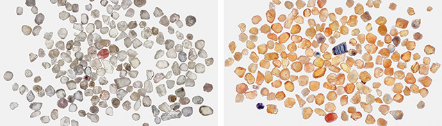 Figure 26. Left: Near-colorless sapphires from the Dry Cottonwood Creek deposit in Montana, with an average stone size of 4–5 mm. Right: The same group of sapphires after beryllium diffusion. Photos by John L. Emmett. Figure 26. Left: Near-colorless sapphires from the Dry Cottonwood Creek deposit in Montana, with an average stone size of 4–5 mm. Right: The same group of sapphires after beryllium diffusion. Photos by John L. Emmett.