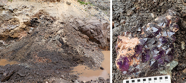 Figure 3. Left: The trench face in the main zone (in 2021) showing amethyst-bearing black mud in front of the vein’s hanging wall. Right: Freshly recovered amethyst cluster in black and tan mud. Many clusters are completely obscured by the thick black to brown clay. Photos by Philippe Belley. Figure 3. Left: The trench face in the main zone (in 2021) showing amethyst-bearing black mud in front of the vein’s hanging wall. Right: Freshly recovered amethyst cluster in black and tan mud. Many clusters are completely obscured by the thick black to brown clay. Photos by Philippe Belley.