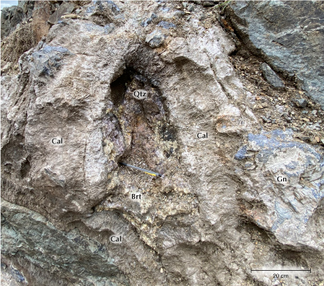 Figure 4. A portion of the vein showing thick calcite (Cal) and massive galena (Gn) surrounding a pocket of barite (Brt) and amethyst (Qtz). Photo by Joshua Maloney. Figure 4. A portion of the vein showing thick calcite (Cal) and massive galena (Gn) surrounding a pocket of barite (Brt) and amethyst (Qtz). Photo by Joshua Maloney.