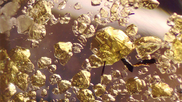 Figure 2. Bright yellow inclusions with polyhedral shapes, often with triangular faces, accompanied by a small number of very dark brown crystals. Photomicrograph by Aurélien Delaunay; field of view 2.2 mm.