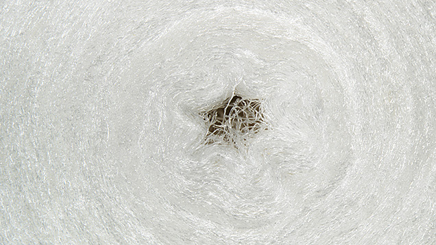 Figure 3. A cross section of a cotton pearl viewed perpendicular to the “drill hole.” Fine white fibers with a concentric layered structure were observed throughout the interior, resembling what was seen in the RTX image. Photomicrograph by Britni LeCroy; field of view 7.19 mm. Figure 3. A cross section of a cotton pearl viewed perpendicular to the “drill hole.” Fine white fibers with a concentric layered structure were observed throughout the interior, resembling what was seen in the RTX image. Photomicrograph by Britni LeCroy; field of view 7.19 mm.