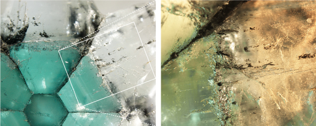 Figure 2. Left: Green color banding in the green internal arm areas of the trapiche emerald; field of view 1.18 cm. Right: Black and whitish inclusions in the green and near-colorless areas; field of view 5.95 mm. Photomicrographs by Makoto Miura (left) and Taku Okada (right). Figure 2. Left: Green color banding in the green internal arm areas of the trapiche emerald; field of view 1.18 cm. Right: Black and whitish inclusions in the green and near-colorless areas; field of view 5.95 mm. Photomicrographs by Makoto Miura (left) and Taku Okada (right).