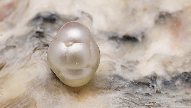 Figure 1. A semi-baroque non-bead cultured pearl weighing 1.69 ct and measuring 6.83 × 5.34 mm. Photo by Gaurav Bera. Figure 1. A semi-baroque non-bead cultured pearl weighing 1.69 ct and measuring 6.83 × 5.34 mm. Photo by Gaurav Bera.
