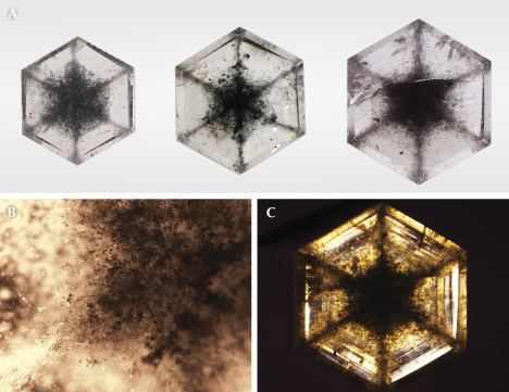 Figure 1. A: Three near-colorless transparent grossular garnet tablets with black inclusions arranged in snowflake-like patterns: 0.46, 0.68, and 1.00 ct, respectively. B: Black and colorless inclusions in the 0.46 ct sample; field of view 1.10 mm. C: Concentric hexagonal light and dark growth pattern of the 1.00 ct stone in cross-polarized light. Photos by Shunsuke Nagai (A) and Taku Okada (B and C). Figure 1. A: Three near-colorless transparent grossular garnet tablets with black inclusions arranged in snowflake-like patterns: 0.46, 0.68, and 1.00 ct, respectively. B: Black and colorless inclusions in the 0.46 ct sample; field of view 1.10 mm. C: Concentric hexagonal light and dark growth pattern of the 1.00 ct stone in cross-polarized light. Photos by Shunsuke Nagai (A) and Taku Okada (B and C).